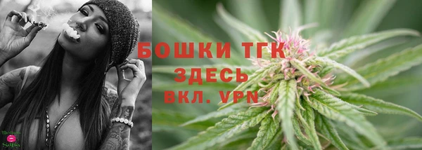 спайс Арсеньев