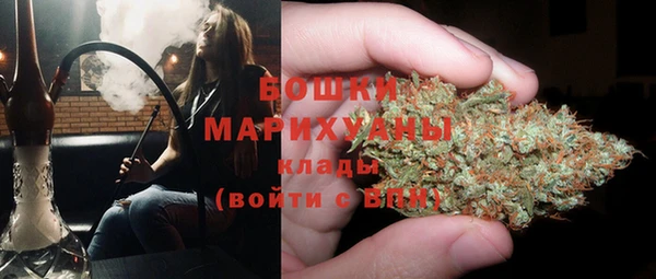 крисы Балахна