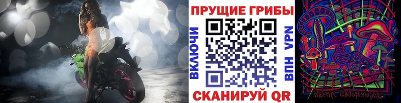 купить   Верея  Галлюциногенные грибы прущие грибы 